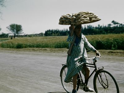 Carrying bread in Egypt