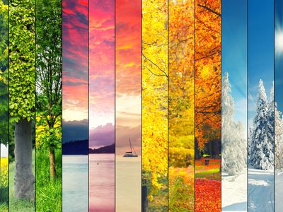 A collage of the four seasons 