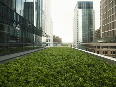 roof top garden