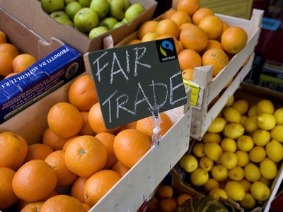 Fairtrade Certified Oranges