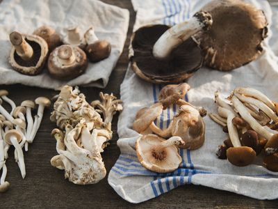 Foraged mushrooms laid out on a cloth on a wooden table