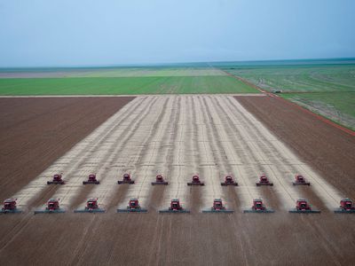 Rows of combines harvest soybeans at a farm in Mato Grosso, Brazil with green fields on the periphery.