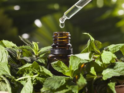 Peppermint essential oil bottle surrounded by mint leaves.