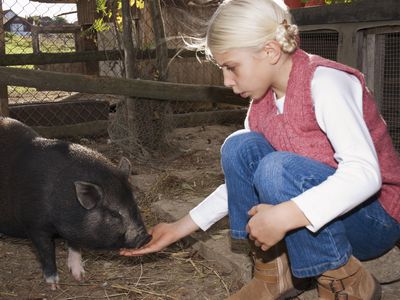 Girl with a pot-bellied pig in barn