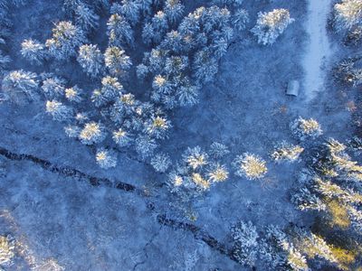 Aerial view of forest with a dusting of snow and cracked earth. 