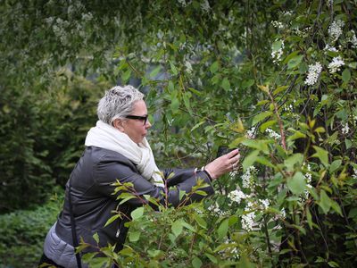 A mature woman surrounded by plants takes a photo with her phone camera.