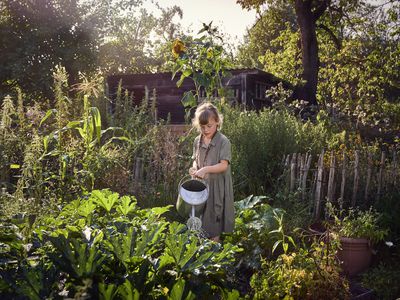 Girl watering vegetable garden