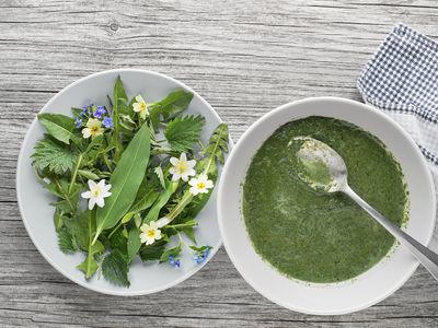 Green cream soup with fresh spring plants