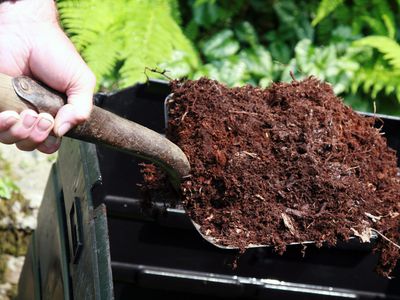 Hand Holding Shovel Full of Compost, Home Composting