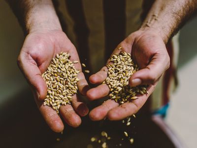 handful of grains