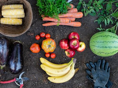 fruits and veggies laying on the ground