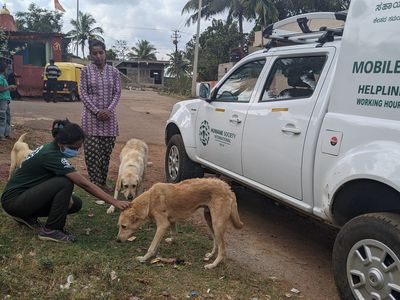 mobile rabies clinic in India