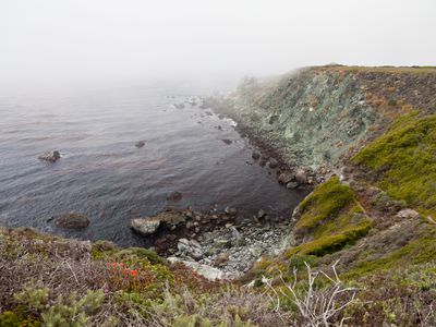 Jade cove in fog. Big Sur, California