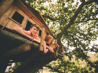 kids in a tree fort