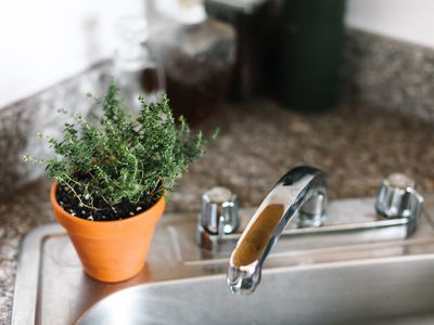 terracotta planter of thyme on kitchen sink 