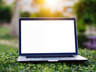 laptop in nature with blank screen