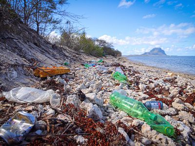 Mauritius litter