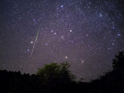 Meteor shower and starry night sky.