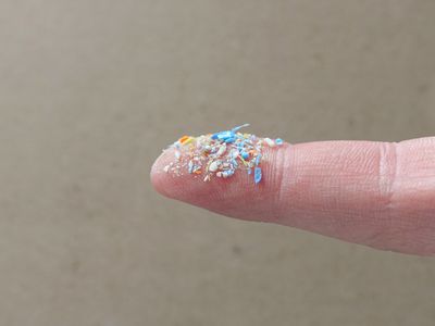 Close up side shot of microplastics on human finger. 