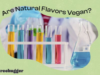 natural flavors vegan test tube photo illo