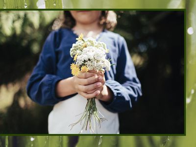 Blurry grass background with hands holding dandelions