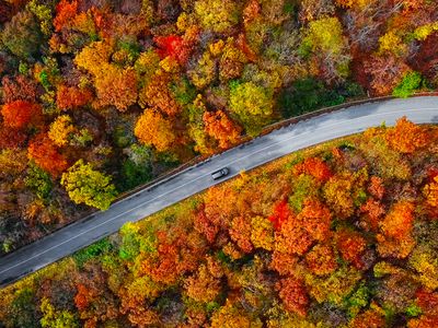 Overhead aerial view of winding mountain road inside colorful autumn forest