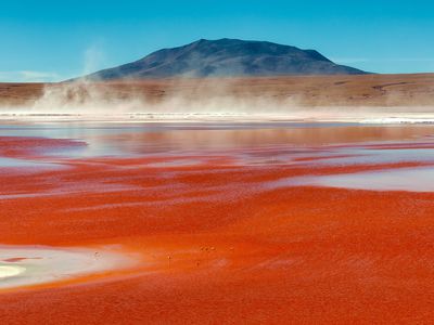 Panoramic view of Laguna Colorada in the Bolivian Altiplano , Bolivia