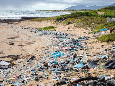 Plastic litter on the beach