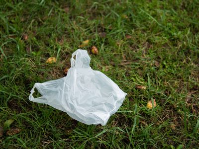 A white plastic bag on grass