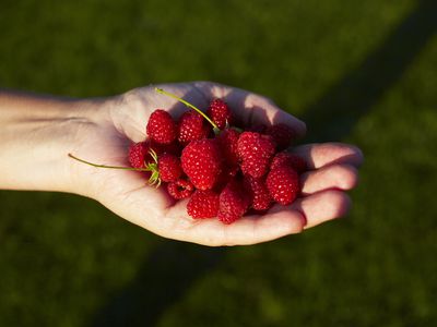 raspberries