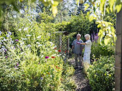 Retired couple discussing plans for their summer garden