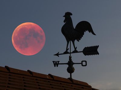 rooster weather vane with blood moon