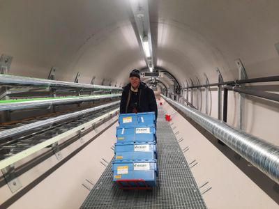 Asmund Asdal unloads seed inside the vault.