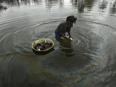 Shell Oil Spill Pollutes Water In Nigeria