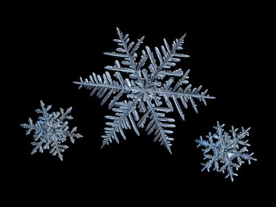 three macro snowflakes on black background