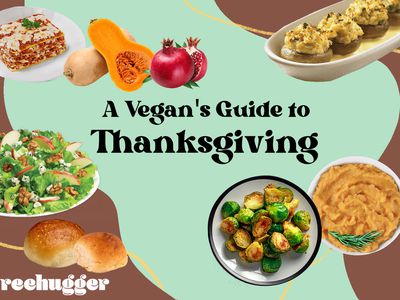 Vegan Guide to Thanksgiving illustration, featuring Brussels sprouts, mashed sweet potato, stuffed mushrooms, lasagna, rolls, and salad. 