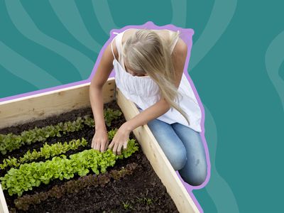 Best Urban Farming Certifications