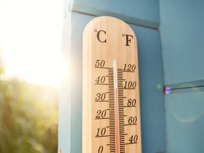 Thermometer at blue wooden wall in garden