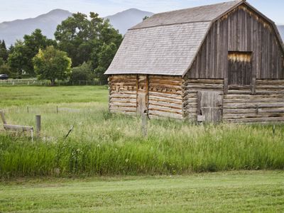 An antique barn in a meadow of tall, green grass