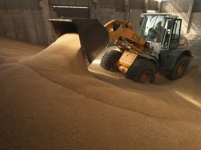 tractor pushing fresh wheat