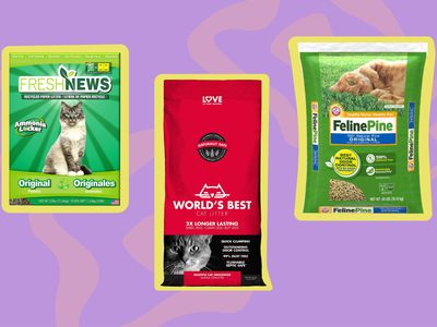 Best eco-friendly cat litter collaged against colorful purple background