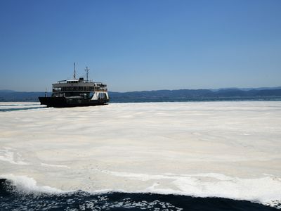 Turkish sea snot