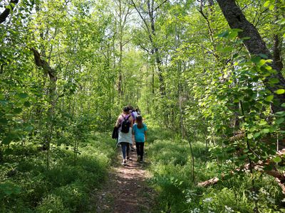 Visitors on a hike in Ulko-Tammio 