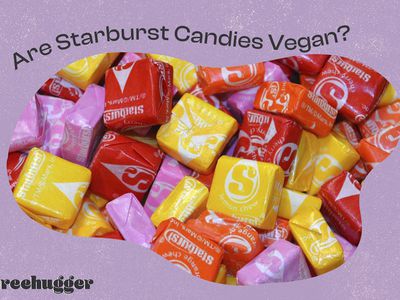 Illustration with colorful Starburst candies, words "Are Starburst Candies Vegan?"