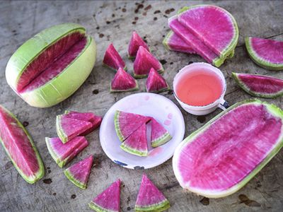 watermelon radish