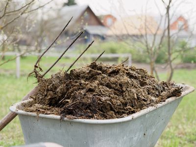 Wheelbarrow full of manure