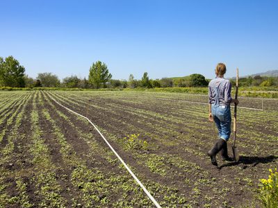 Woman working on farm