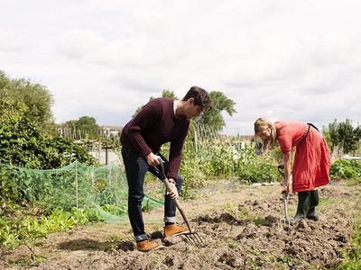 Working the soil.