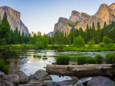 A blue sky above a verdant Yosemite Valley