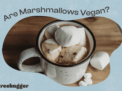 are marshmallows vegan photo illo